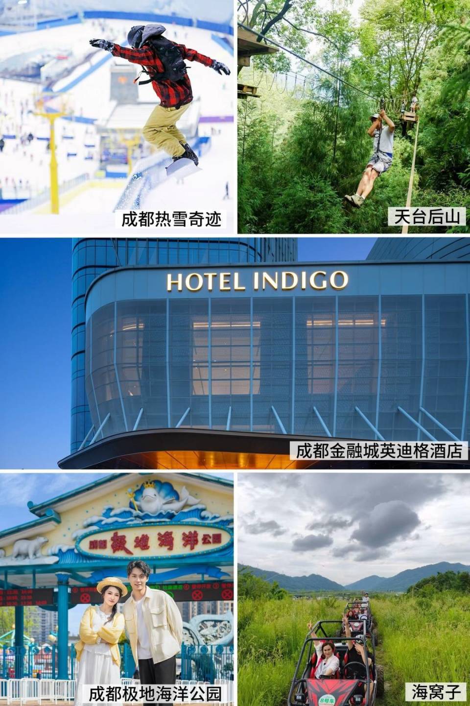 sg, 细分领域的 sg, 细分领域的